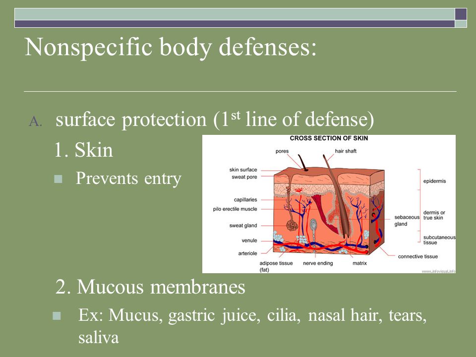 Nonspecific body defenses: A. surface protection (1 st line of defense) 1.