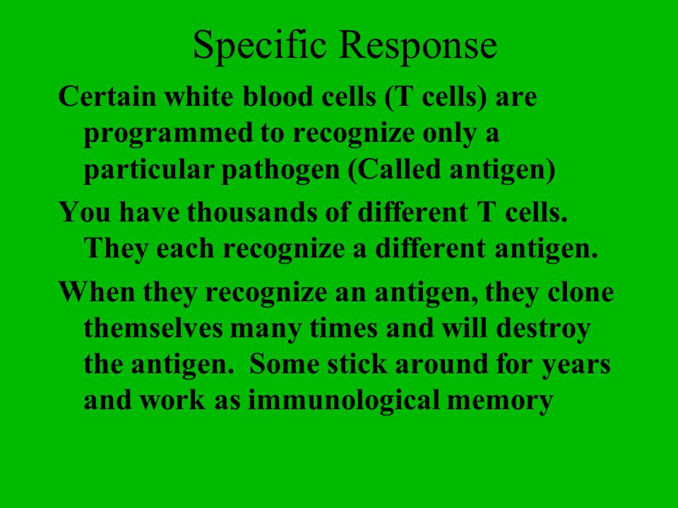 Specific Response Certain white blood cells (T cells) are programmed to recognize only a particular pathogen (Called antigen) You have thousands of different T cells.