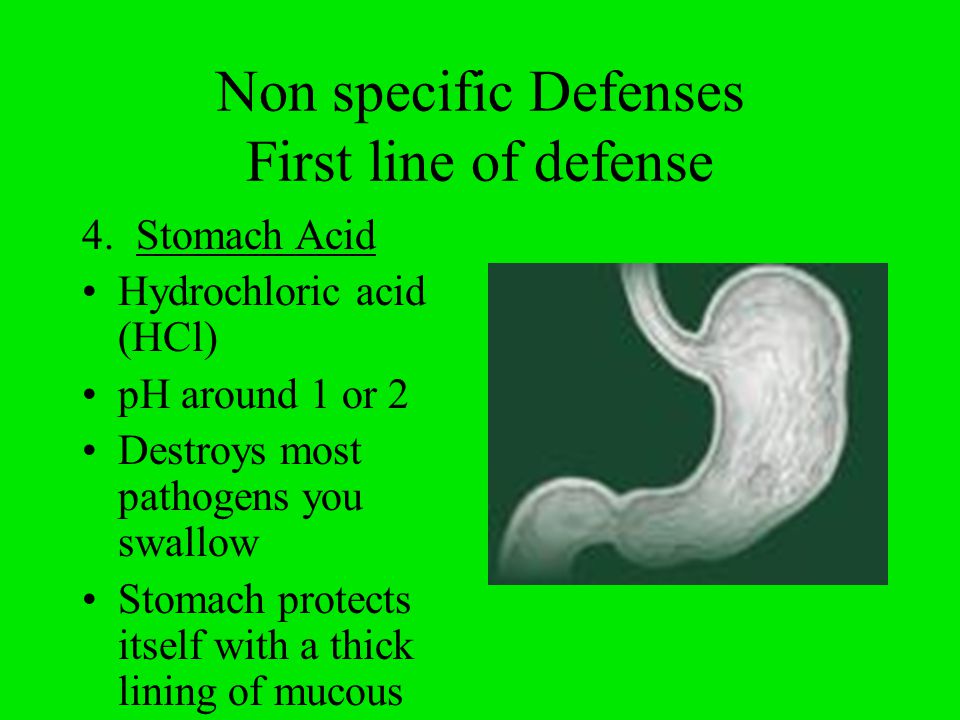 Non specific Defenses First line of defense 4.