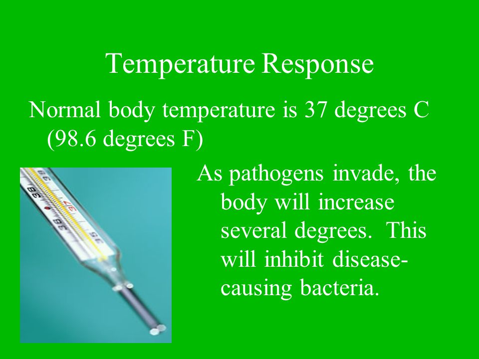 Temperature Response Normal body temperature is 37 degrees C (98.6 degrees F) As pathogens invade, the body will increase several degrees.