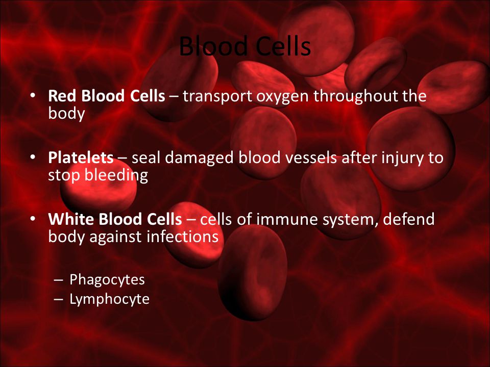 Blood Cells Red Blood Cells – transport oxygen throughout the body Platelets – seal damaged blood vessels after injury to stop bleeding White Blood Cells – cells of immune system, defend body against infections – Phagocytes – Lymphocyte