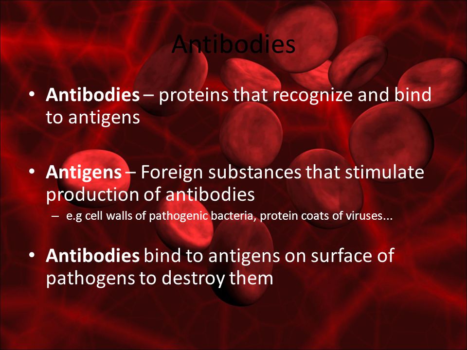 Antibodies Antibodies – proteins that recognize and bind to antigens Antigens – Foreign substances that stimulate production of antibodies – e.g cell walls of pathogenic bacteria, protein coats of viruses...