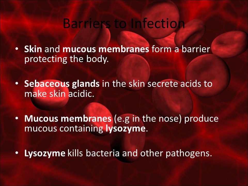 Barriers to Infection Skin and mucous membranes form a barrier protecting the body.