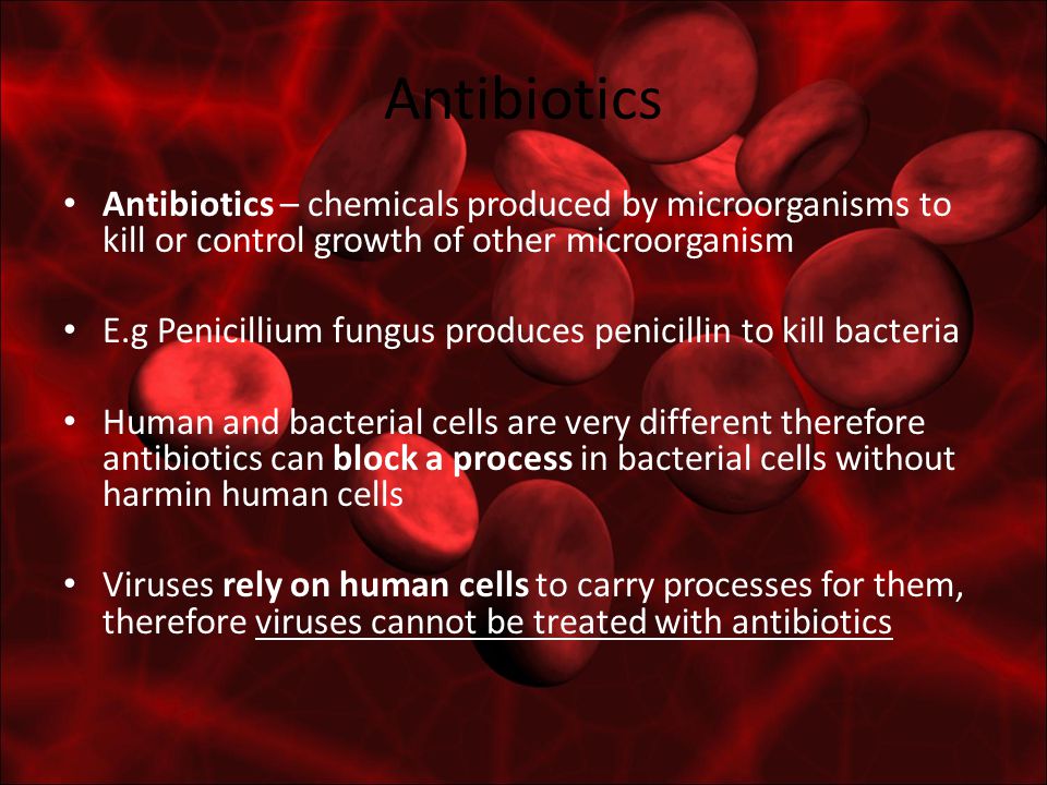 Antibiotics Antibiotics – chemicals produced by microorganisms to kill or control growth of other microorganism E.g Penicillium fungus produces penicillin to kill bacteria Human and bacterial cells are very different therefore antibiotics can block a process in bacterial cells without harmin human cells Viruses rely on human cells to carry processes for them, therefore viruses cannot be treated with antibiotics