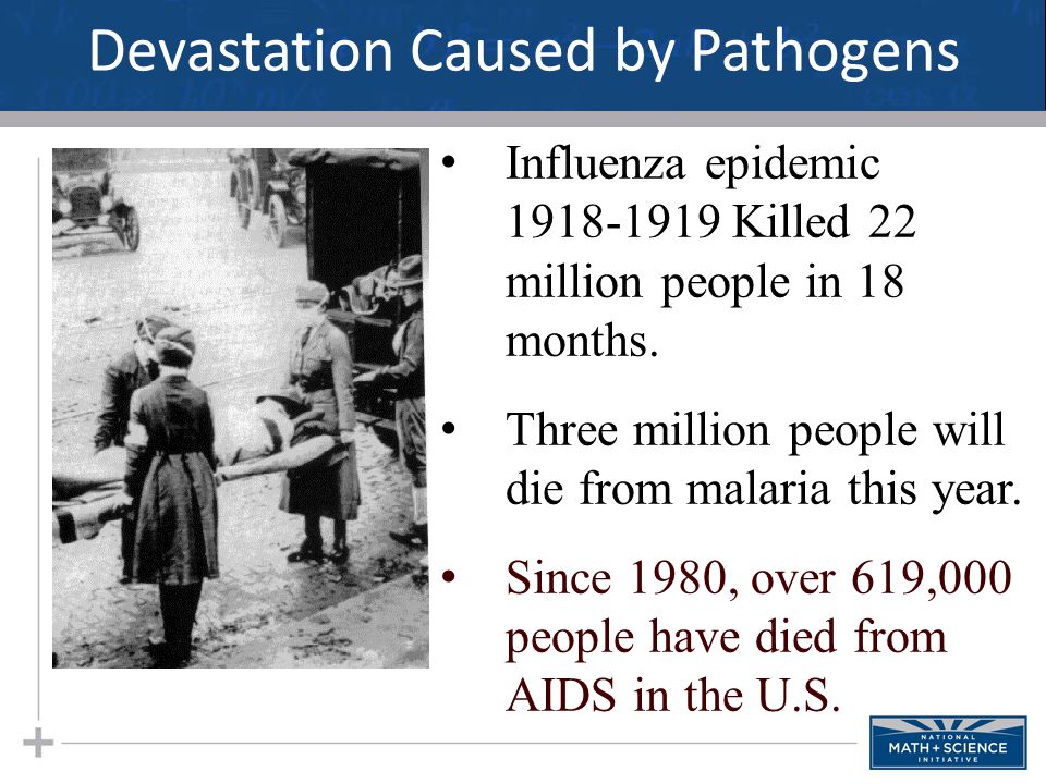 Devastation Caused by Pathogens Influenza epidemic Killed 22 million people in 18 months.