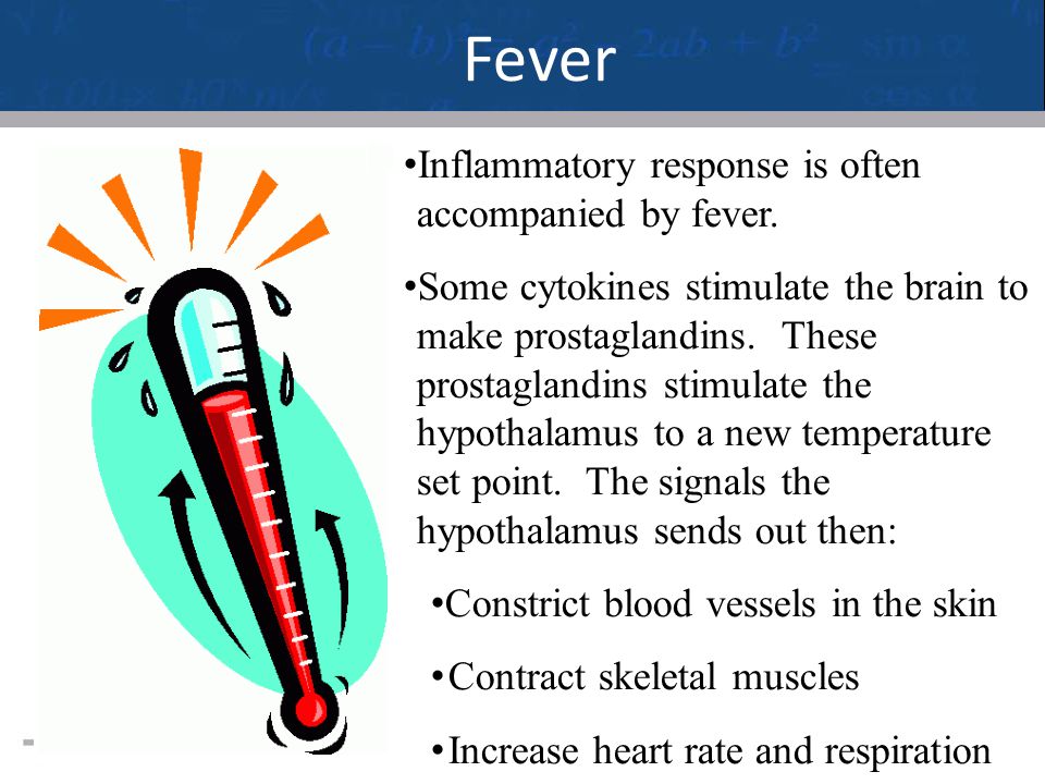 24 Fever Inflammatory response is often accompanied by fever.