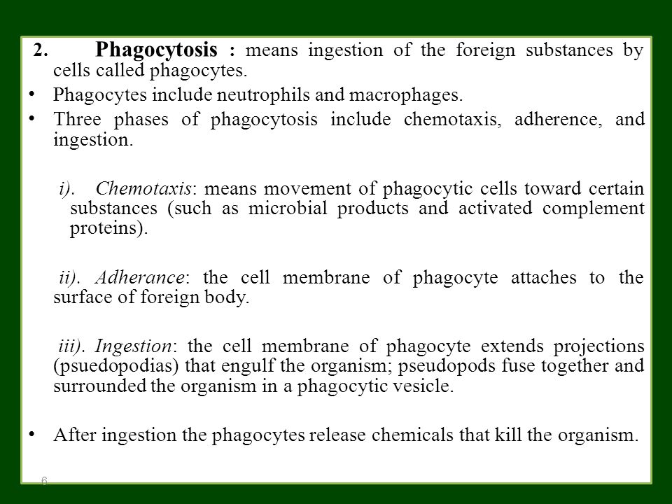 2. Phagocytosis : means ingestion of the foreign substances by cells called phagocytes.