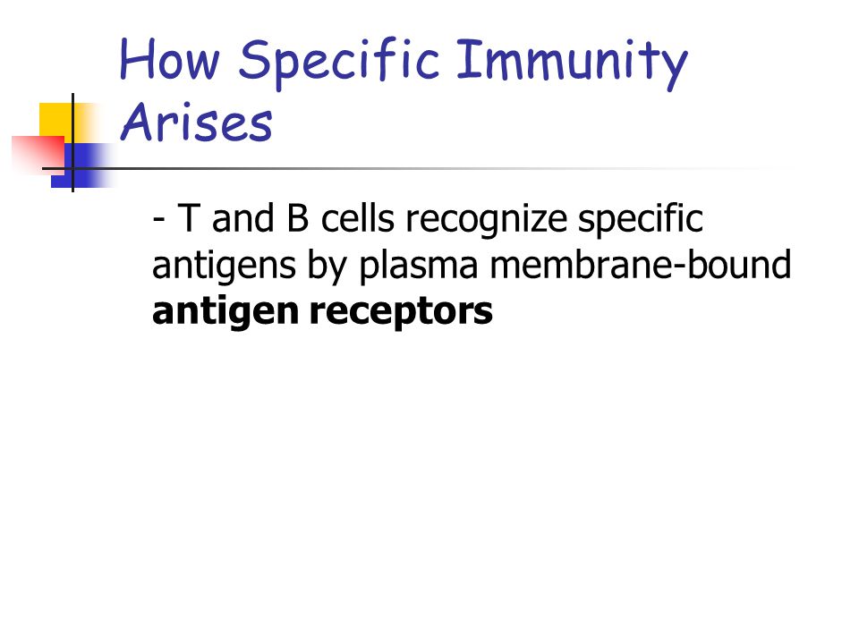 How Specific Immunity Arises - T and B cells recognize specific antigens by plasma membrane-bound antigen receptors