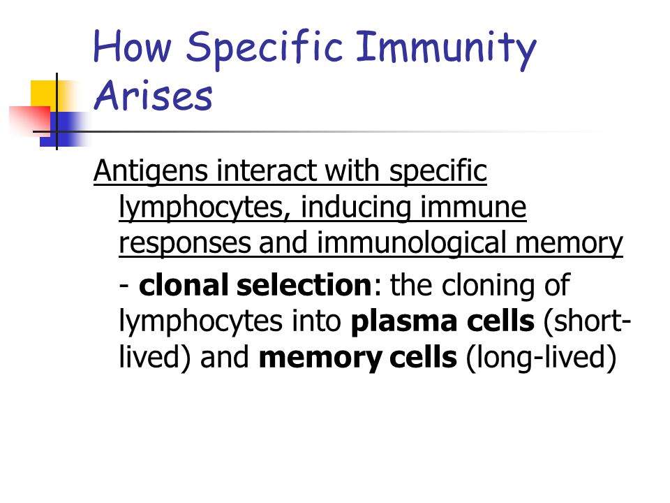 How Specific Immunity Arises Antigens interact with specific lymphocytes, inducing immune responses and immunological memory - clonal selection: the cloning of lymphocytes into plasma cells (short- lived) and memory cells (long-lived)