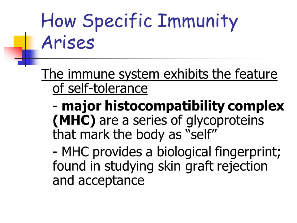 The immune system exhibits the feature of self-tolerance - major histocompatibility complex (MHC) are a series of glycoproteins that mark the body as self - MHC provides a biological fingerprint; found in studying skin graft rejection and acceptance