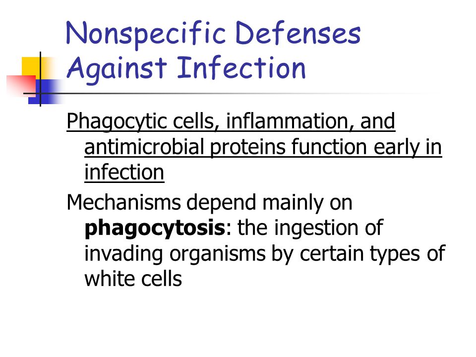 Nonspecific Defenses Against Infection Phagocytic cells, inflammation, and antimicrobial proteins function early in infection Mechanisms depend mainly on phagocytosis: the ingestion of invading organisms by certain types of white cells