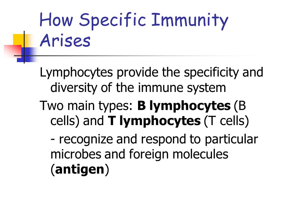 How Specific Immunity Arises Lymphocytes provide the specificity and diversity of the immune system Two main types: B lymphocytes (B cells) and T lymphocytes (T cells) - recognize and respond to particular microbes and foreign molecules (antigen)