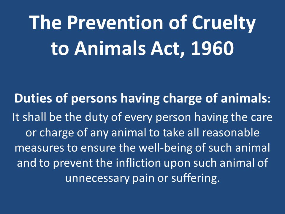 ANIMALS HOME SOCIETY The question is not, 'Can they reason?' nor, 'Can they  talk?' but rather, 'Can they suffer? - ppt download