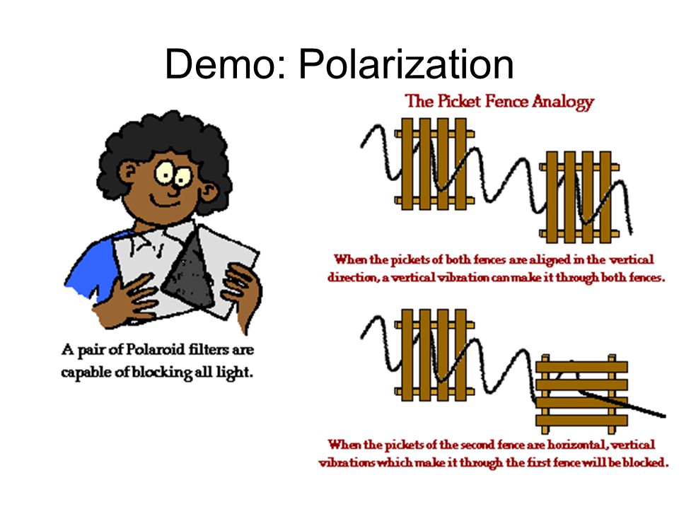 Demo: Polarization