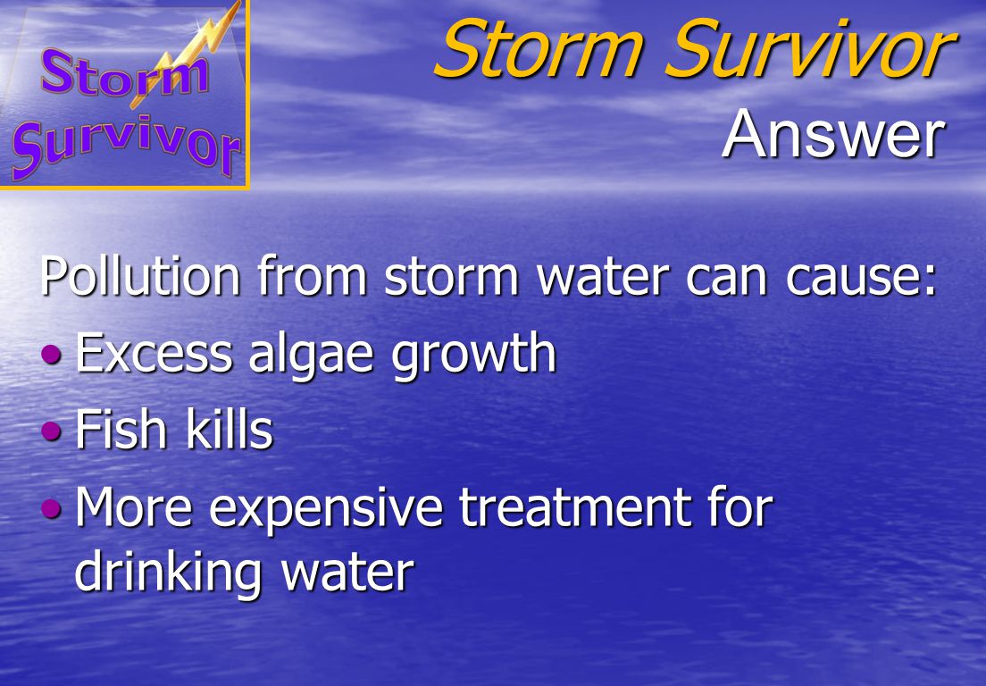 Storm Survivor Question What problems can result from pollution in storm water runoff