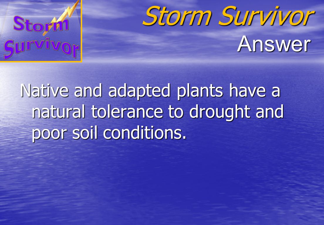 Storm Survivor Question Why do native and adapted plants require less water, fertilizer and pesticides