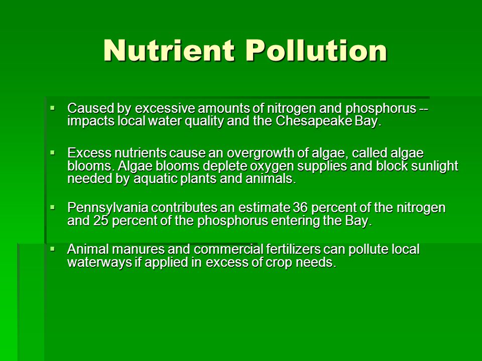 Nutrient Pollution  Caused by excessive amounts of nitrogen and phosphorus -- impacts local water quality and the Chesapeake Bay.