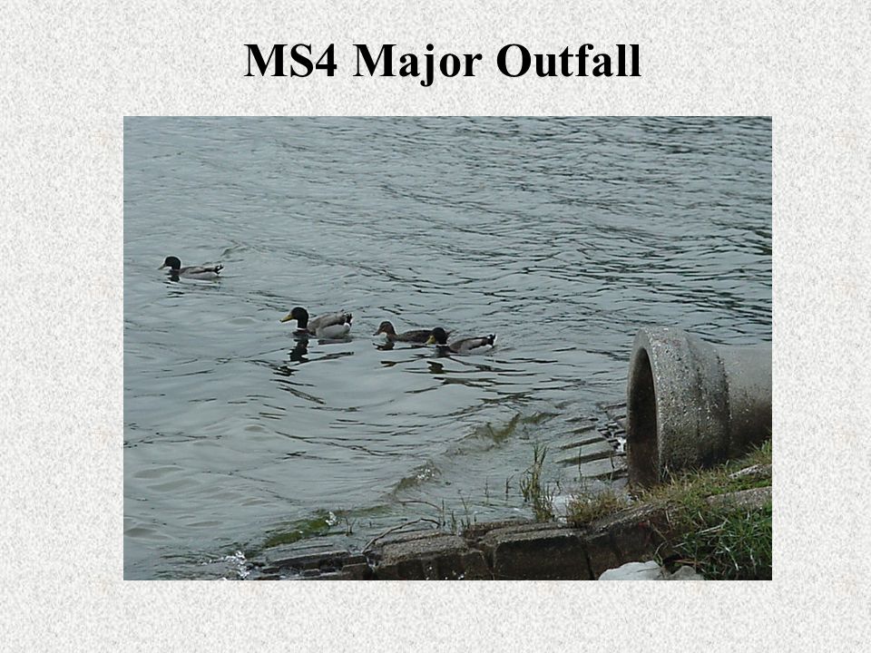 MS4 Major Outfall
