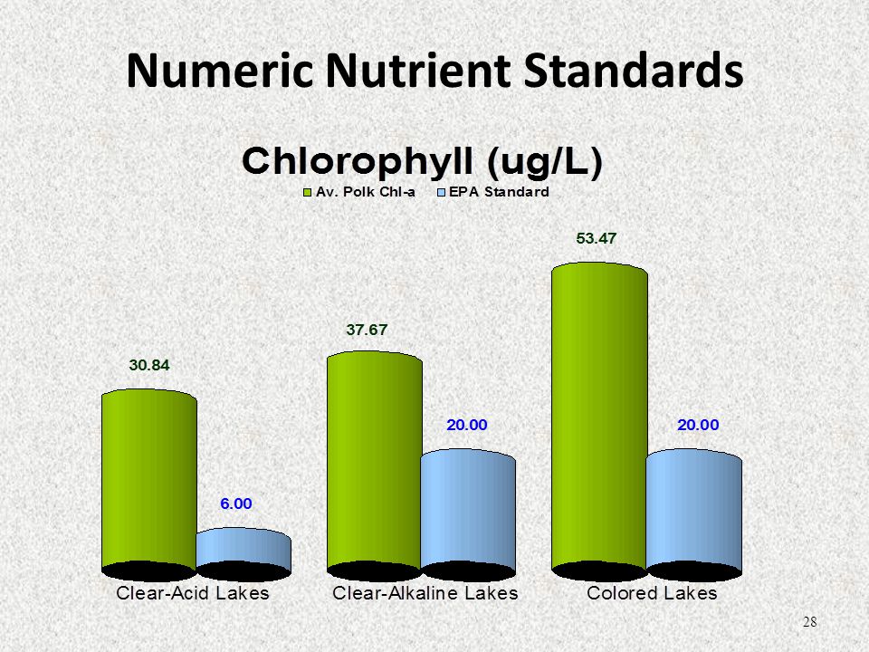 Numeric Nutrient Standards 28