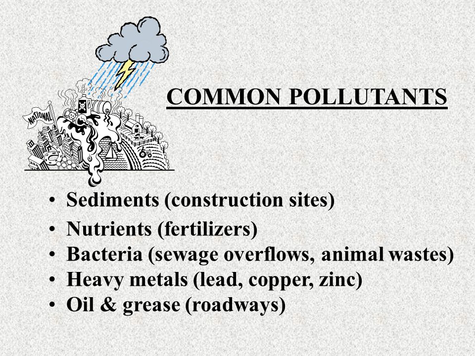 Sediments (construction sites) Nutrients (fertilizers) Bacteria (sewage overflows, animal wastes) Heavy metals (lead, copper, zinc) Oil & grease (roadways) COMMON POLLUTANTS