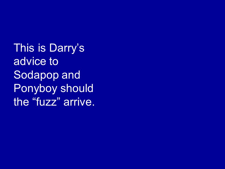 This is Darry’s advice to Sodapop and Ponyboy should the fuzz arrive.