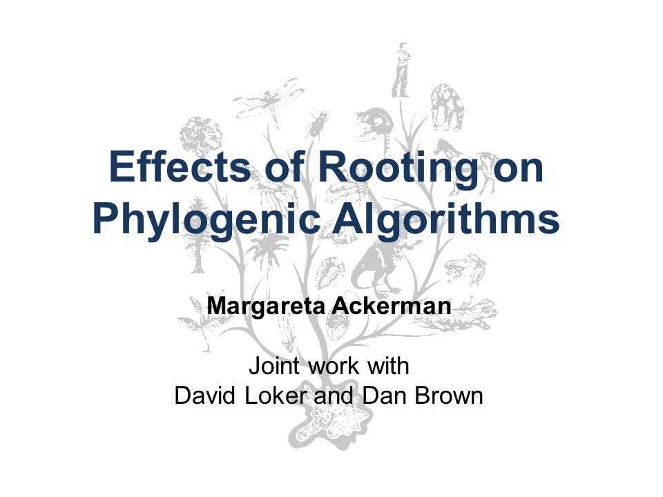Effects of Rooting on Phylogenic Algorithms Margareta Ackerman Joint work with David Loker and Dan Brown