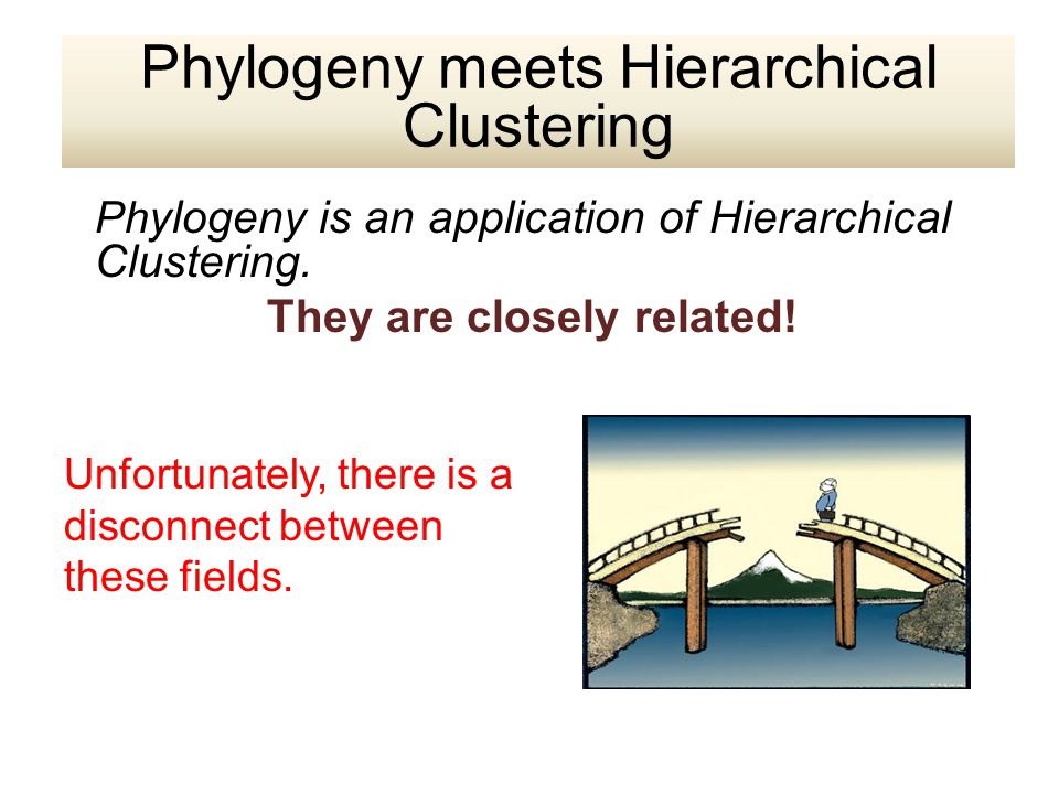 Ph ylogeny is an application of Hierarchical Clustering.