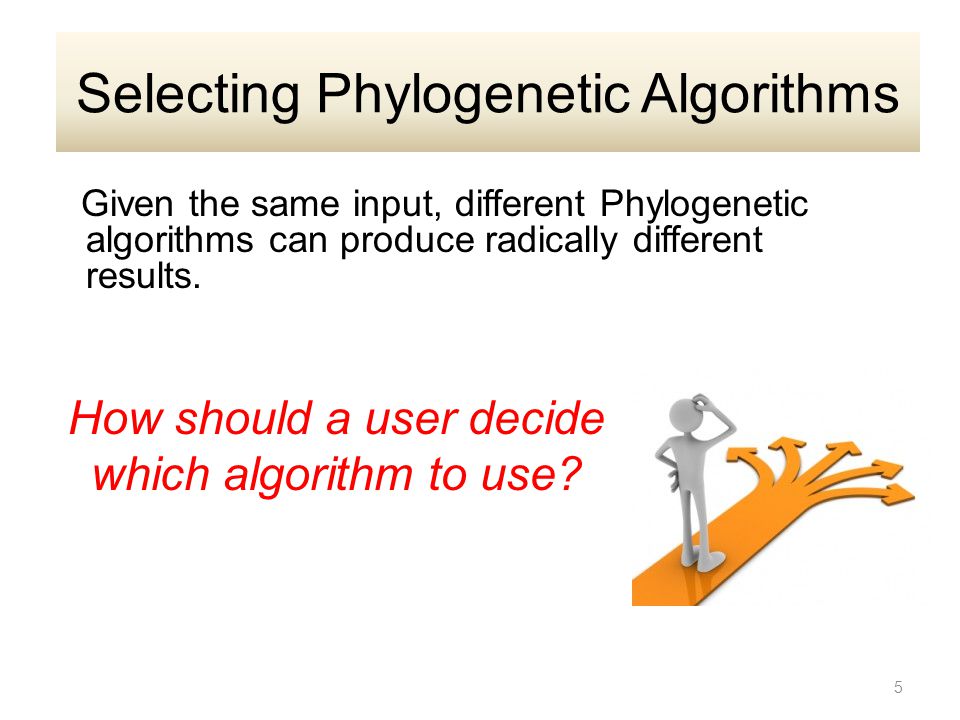Given the same input, different Phylogenetic algorithms can produce radically different results.