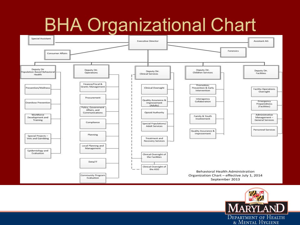 BHA Organizational Chart