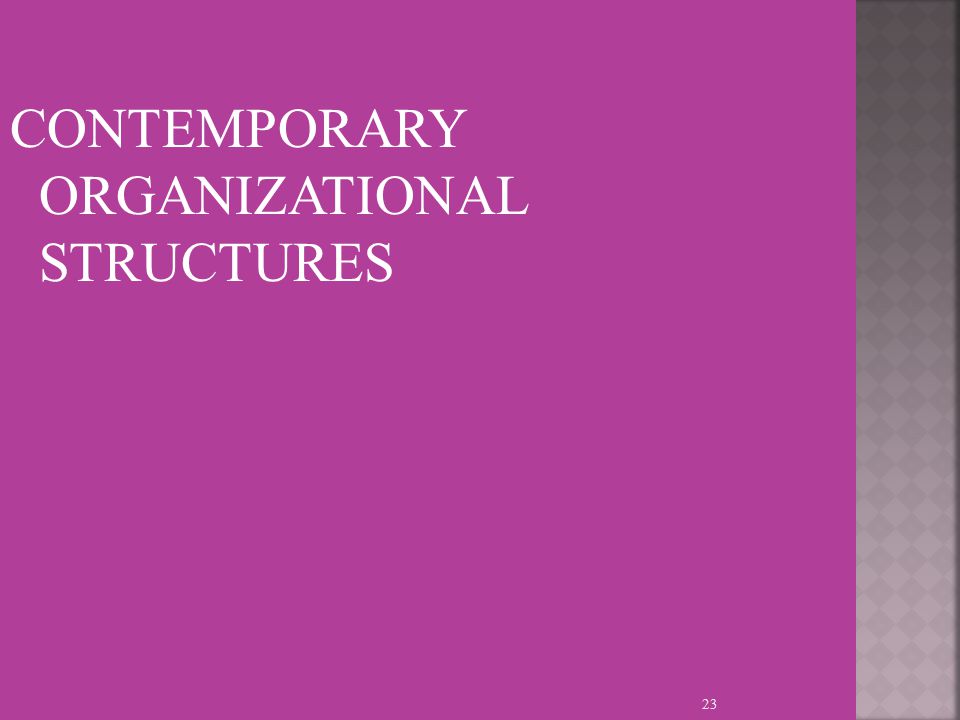 CONTEMPORARY ORGANIZATIONAL STRUCTURES 23
