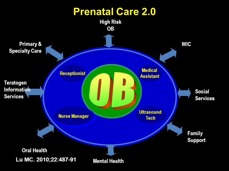 Prenatal Care 2.0 Oral Health Teratogen Information Services Primary & Specialty Care Family Support Social Services WIC Receptionist Medical Assistant Ultrasound Tech Nurse Manager High Risk OB Mental Health Lu MC.