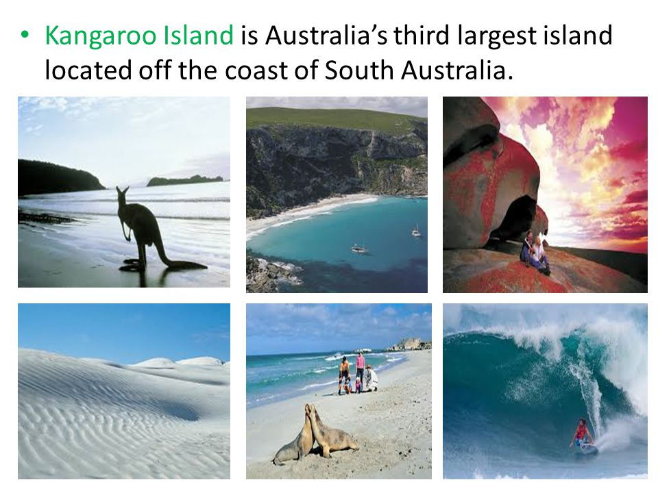 Kangaroo Island is Australia’s third largest island located off the coast of South Australia.