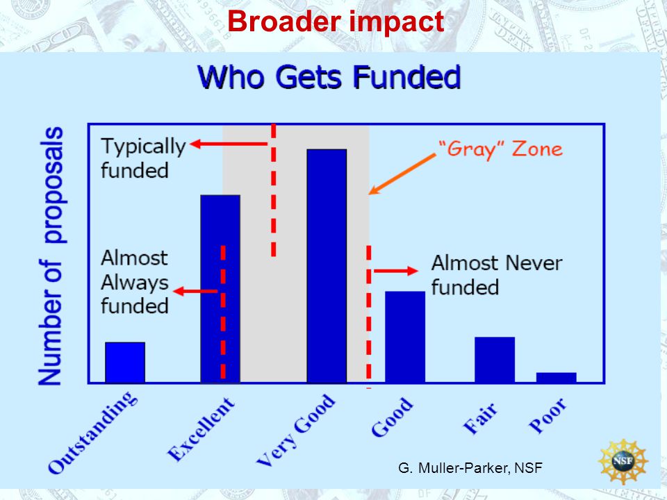 Broader impact G. Muller-Parker, NSF