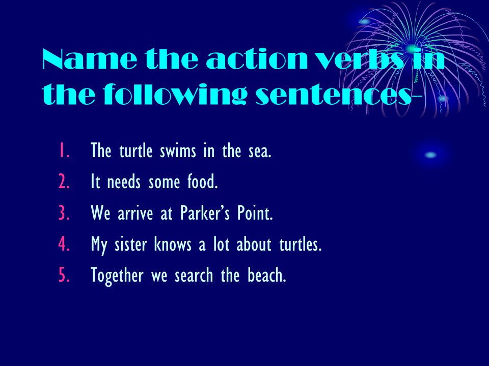 Name the action verbs in the following sentences- 1.The turtle swims in the sea.