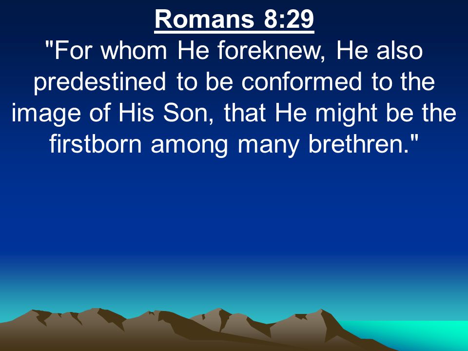 Romans 8:29 For whom He foreknew, He also predestined to be conformed to the image of His Son, that He might be the firstborn among many brethren.