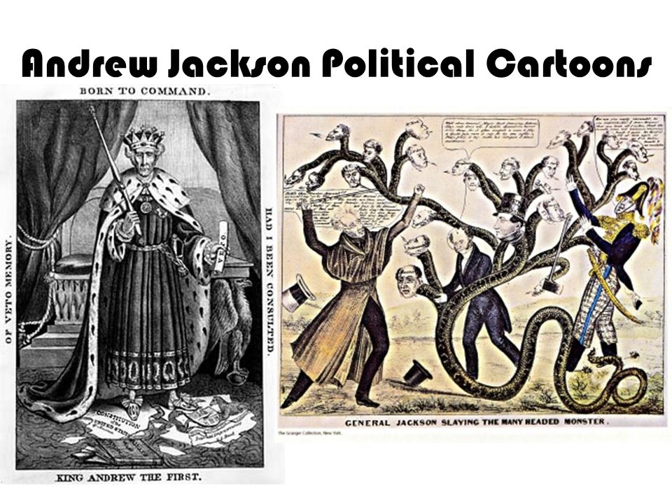 THE PEOPLES CHOICE. Andrew Jackson Political Cartoons. - ppt download