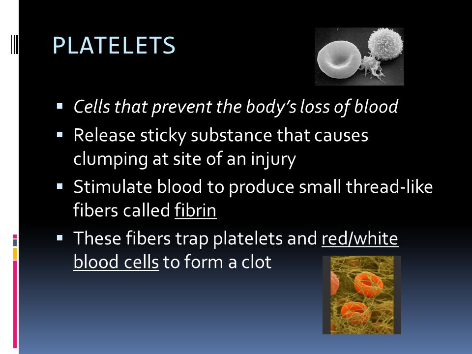 WHITE BLOOD CELLS (see also lymphocytes under part IV)  Main role is to protect the body against infection.