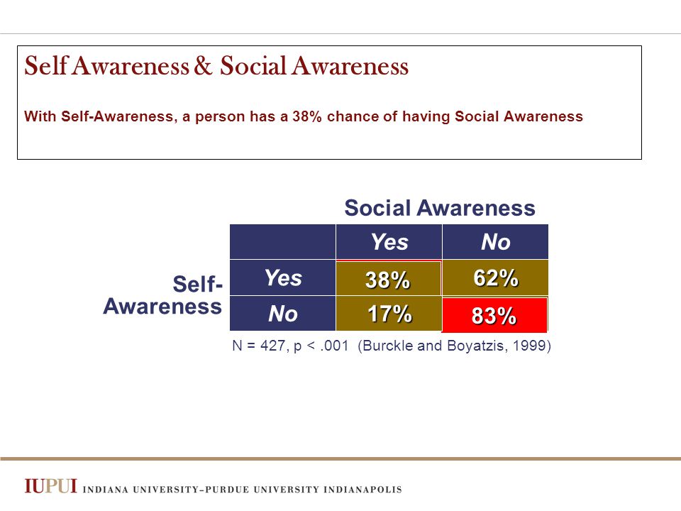 83% 38% Self Awareness & Social Awareness With Self-Awareness, a person has a 38% chance of having Social Awareness 83% 38% 17% 62% YesNo Yes No Social Awareness Self- Awareness N = 427, p <.001 (Burckle and Boyatzis, 1999)