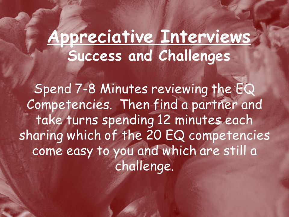 Appreciative Interviews Success and Challenges Spend 7-8 Minutes reviewing the EQ Competencies.