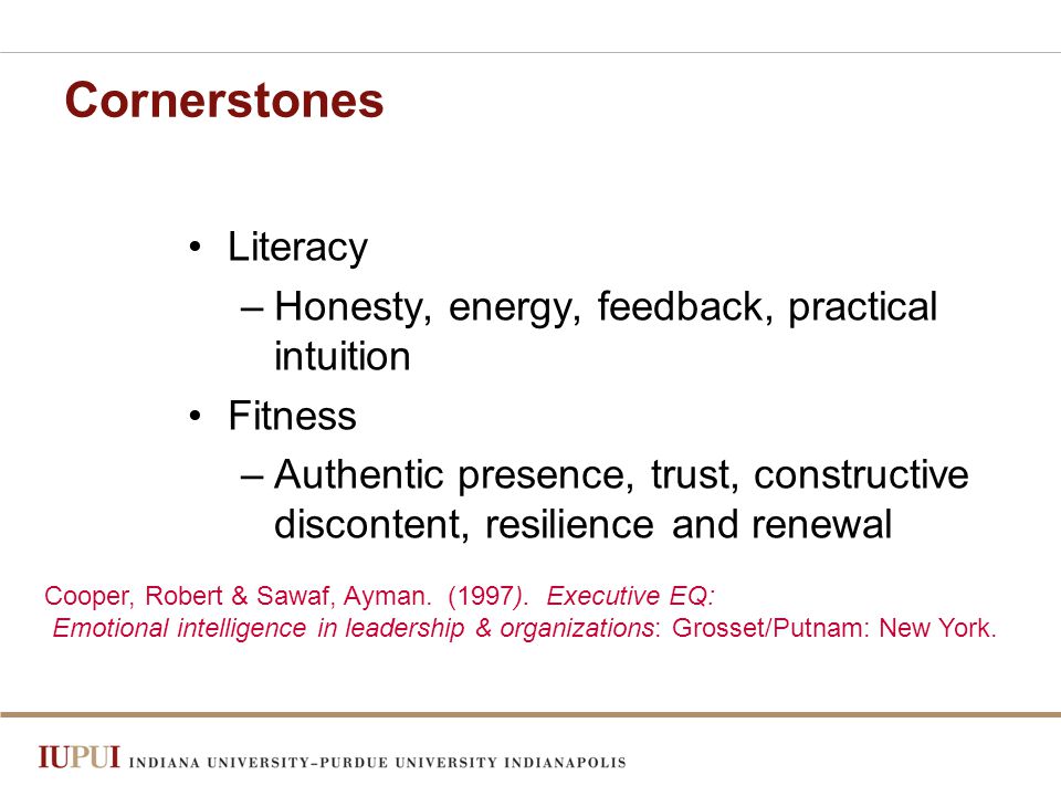 Cornerstones Literacy –Honesty, energy, feedback, practical intuition Fitness –Authentic presence, trust, constructive discontent, resilience and renewal Cooper, Robert & Sawaf, Ayman.