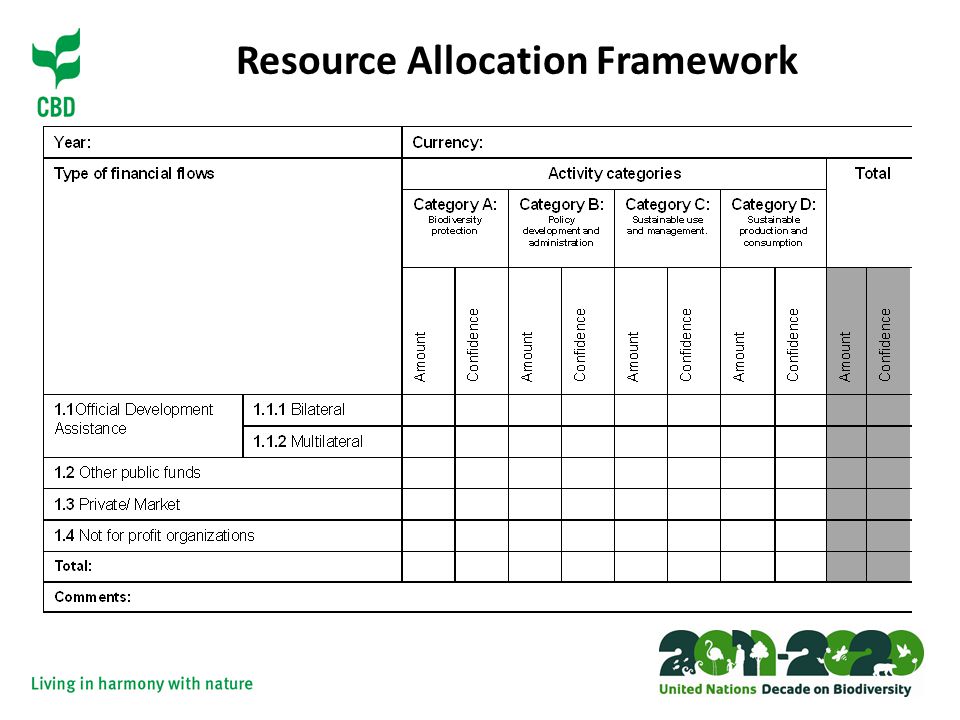 Resource Allocation Framework