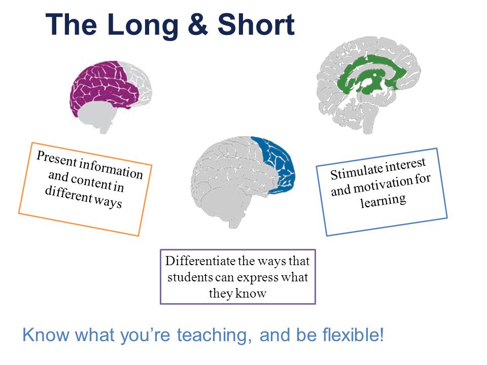The Long & Short Present information and content in different ways Differentiate the ways that students can express what they know Stimulate interest and motivation for learning Know what you’re teaching, and be flexible!