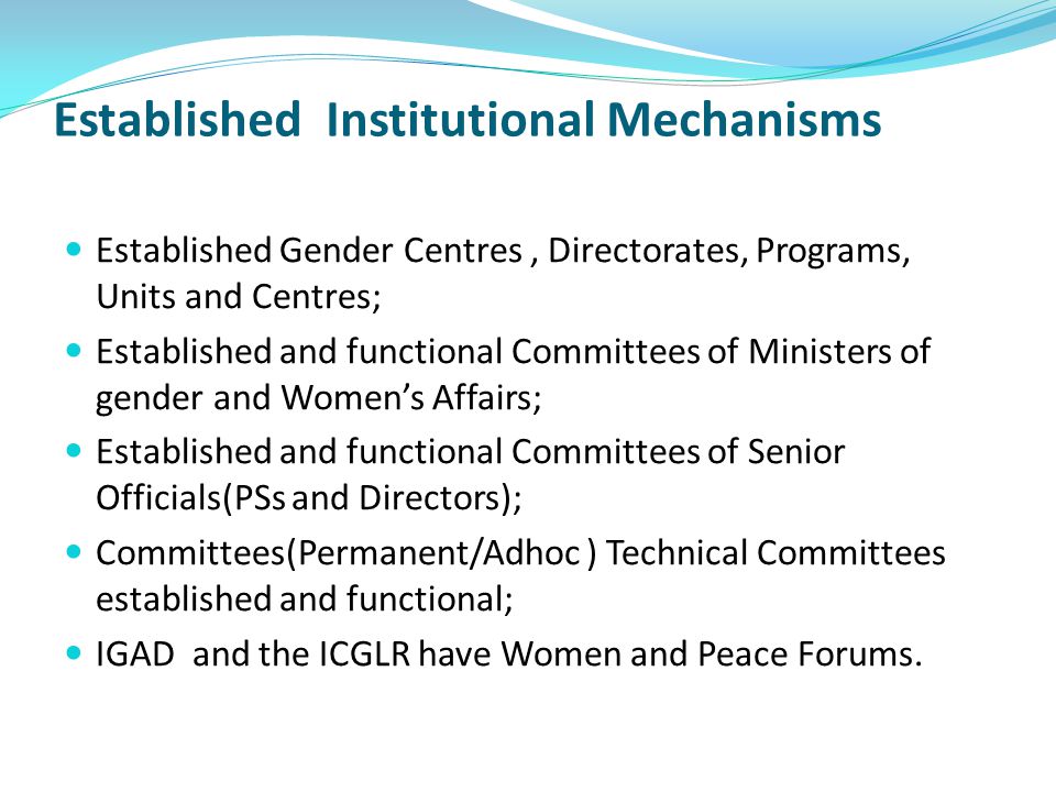 Established Institutional Mechanisms Established Gender Centres, Directorates, Programs, Units and Centres; Established and functional Committees of Ministers of gender and Women’s Affairs; Established and functional Committees of Senior Officials(PSs and Directors); Committees(Permanent/Adhoc ) Technical Committees established and functional; IGAD and the ICGLR have Women and Peace Forums.