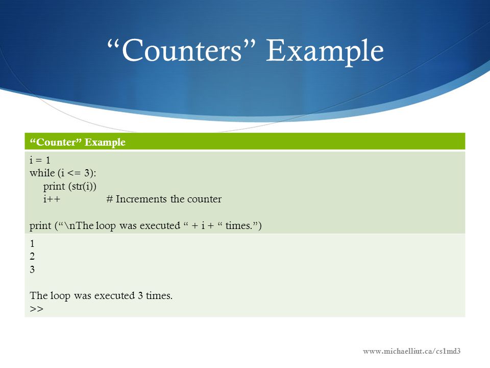 Computer Science 1MD3 Introduction to Programming Michael Liut Brandon ...