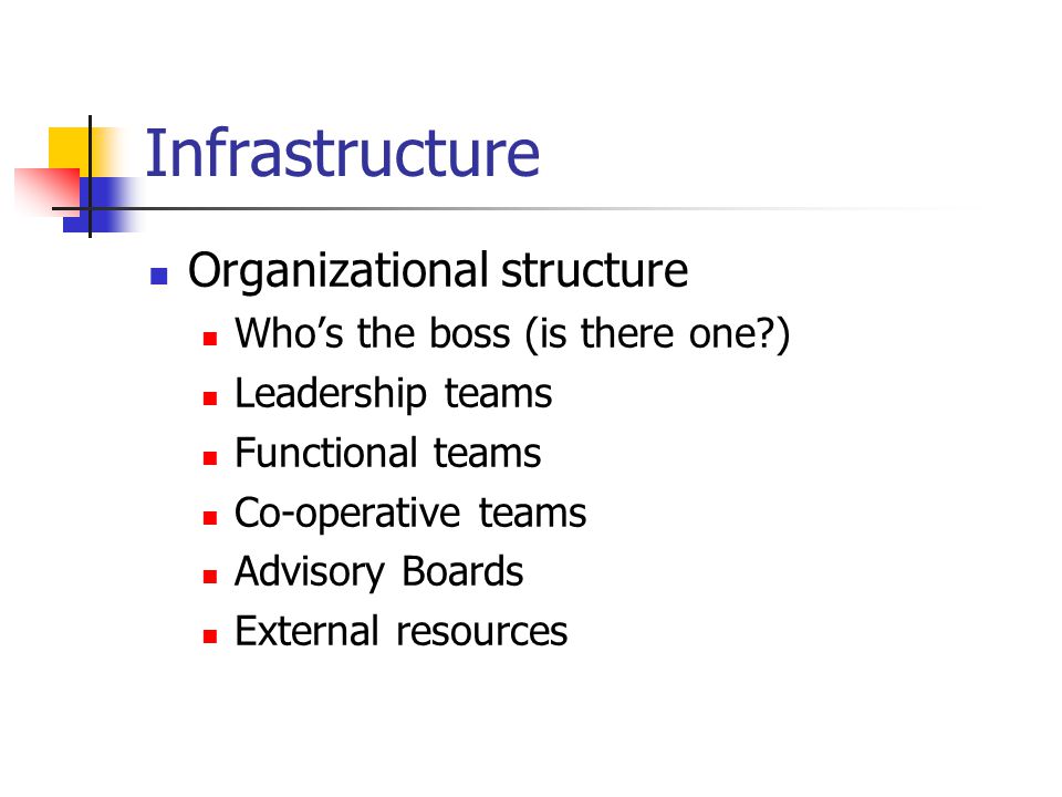 Infrastructure Organizational structure Who’s the boss (is there one ) Leadership teams Functional teams Co-operative teams Advisory Boards External resources