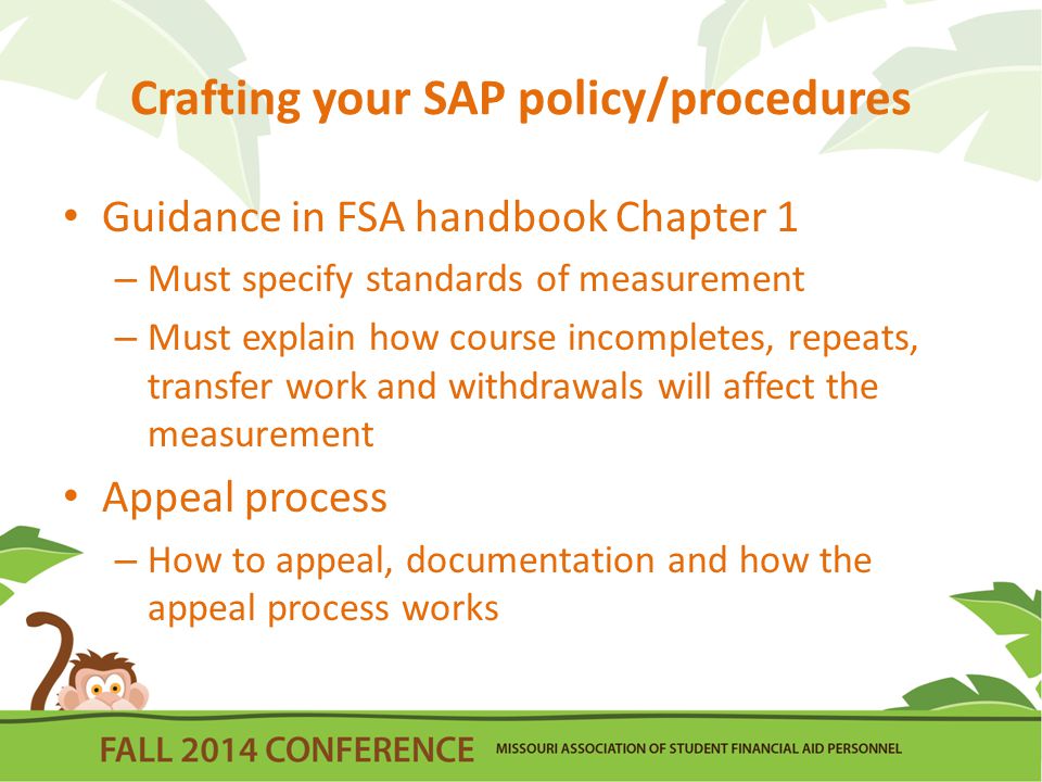 Crafting your SAP policy/procedures Guidance in FSA handbook Chapter 1 – Must specify standards of measurement – Must explain how course incompletes, repeats, transfer work and withdrawals will affect the measurement Appeal process – How to appeal, documentation and how the appeal process works