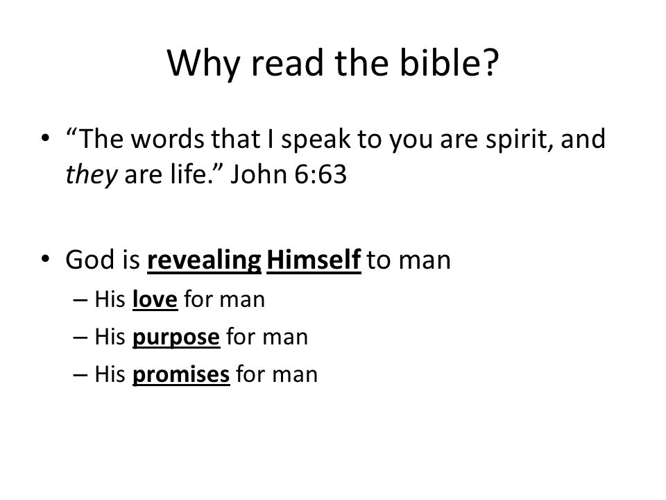 Why read the bible.