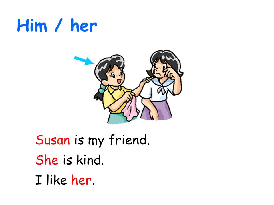 Him / her Susan is my friend. She is kind. I like her.