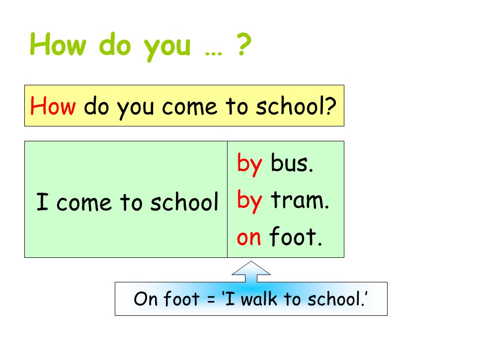How do you … . How do you come to school. I come to school by bus.
