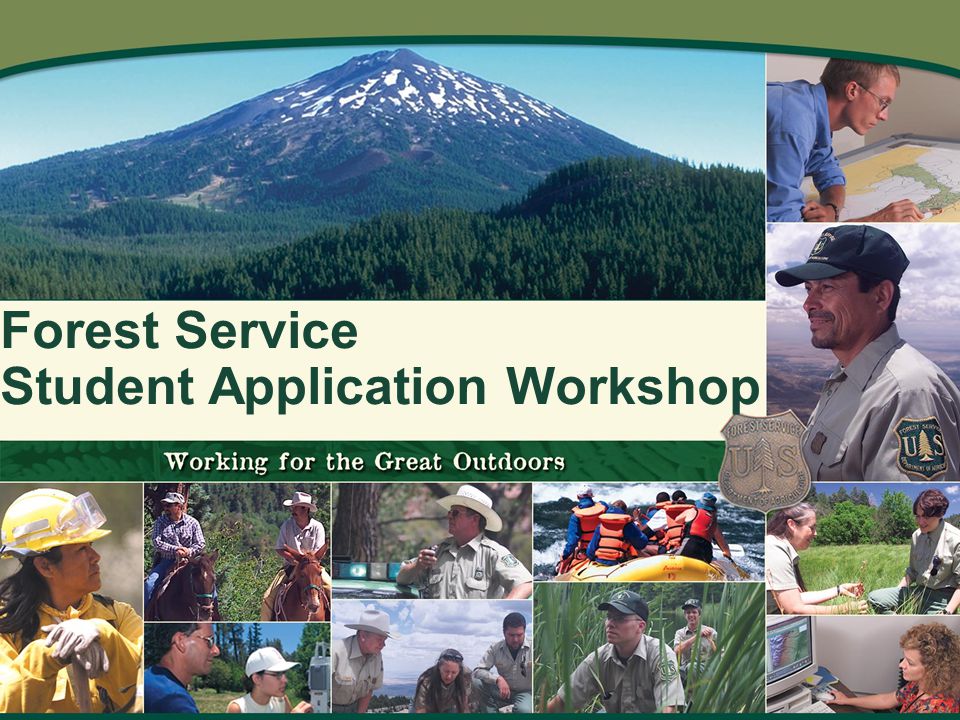 Forest Service Student Application Workshop